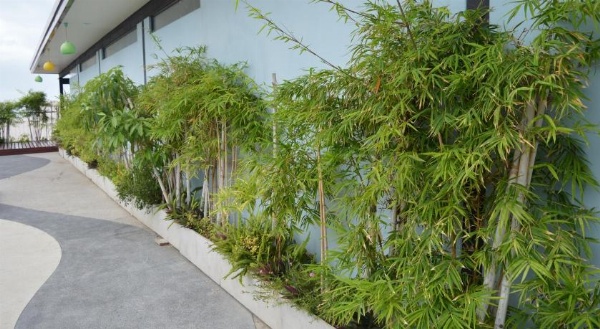 Aya Boutique Hotel (SHA Plus) image 25